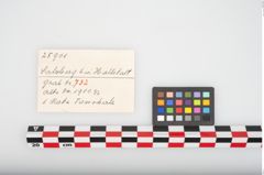 Etikett zu Keramikschale (NHMW-PRAE-025901)